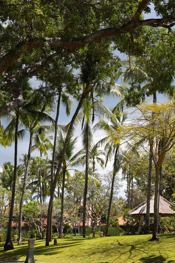 Rainy clouds over the beautiful tropical garden