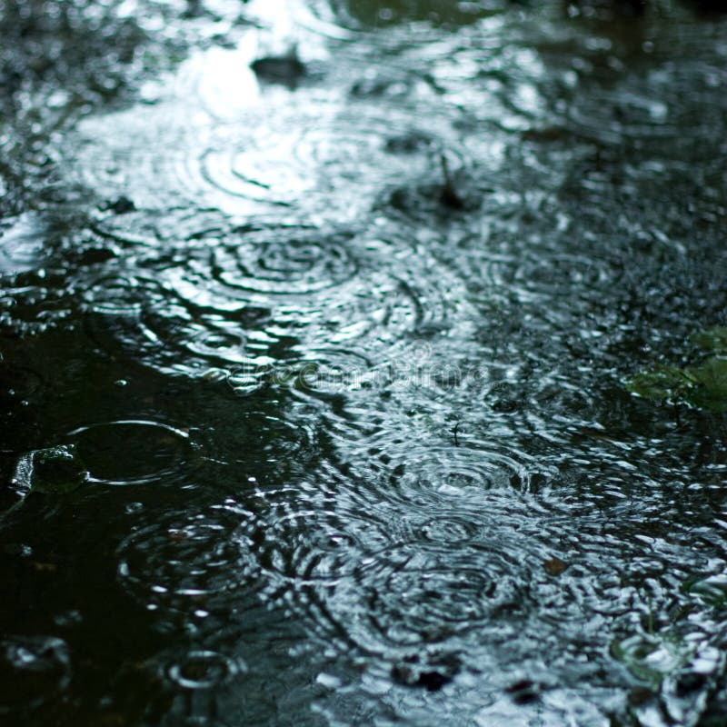 Rainy weather stock photo. Image of weather, liquid, outdoors 5895940