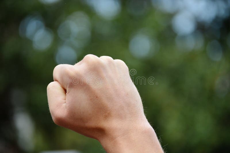 Raised Fist stock photo. Image of fist, hold, knuckles 85630360