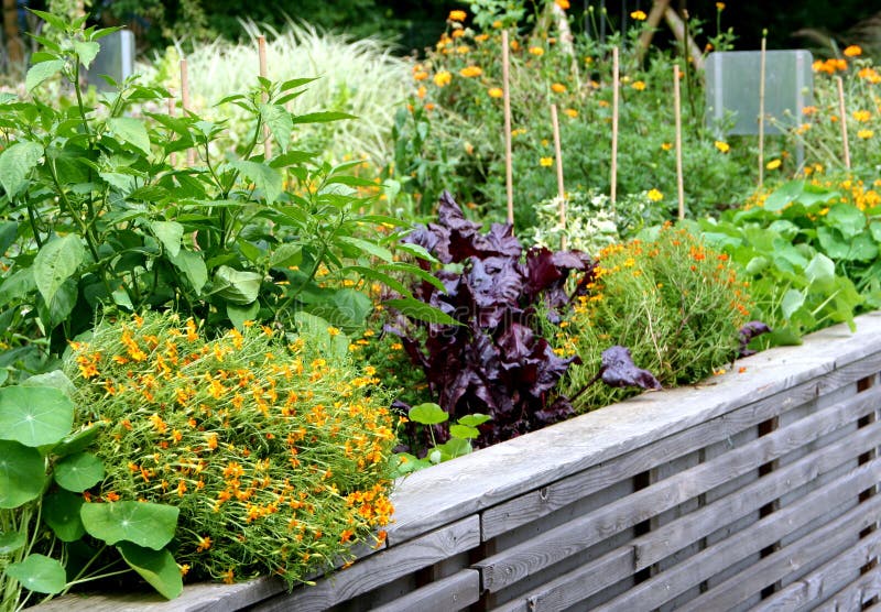 High vegetable garden bed royalty free stock images High vegetable garden bed royalty free stock images