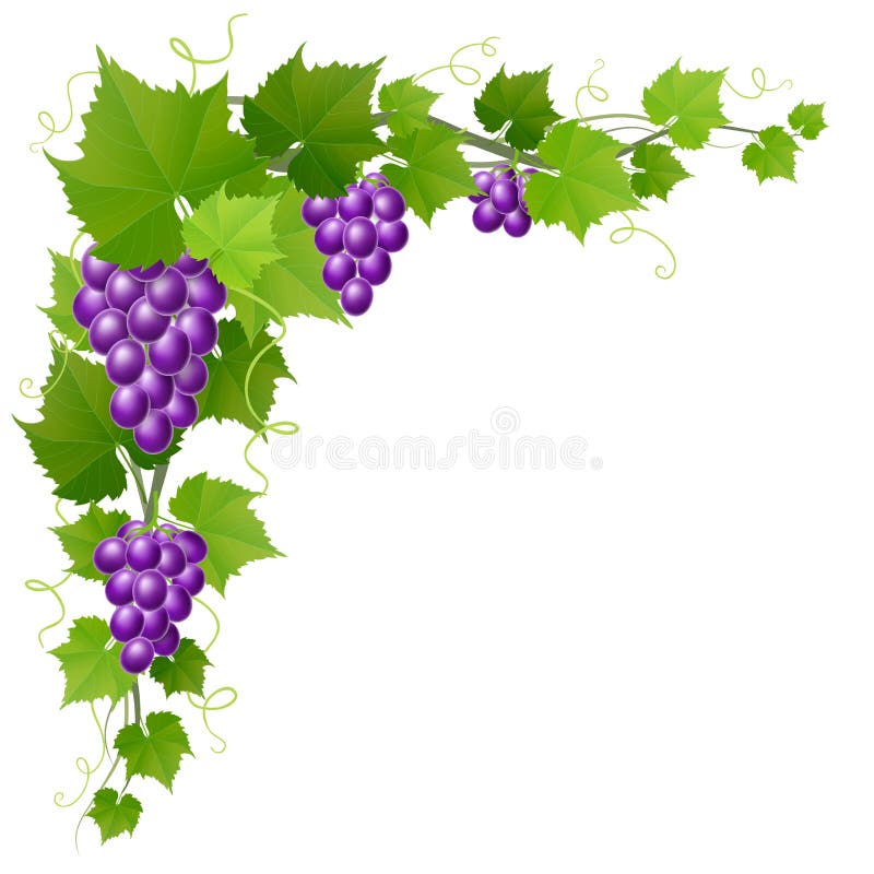 Raisin avec la décoration de coin de feuille pour la récolte d'automne illustration de vecteur Raisin avec la décoration de coin de feuille pour la récolte d'automne illustration de vecteur