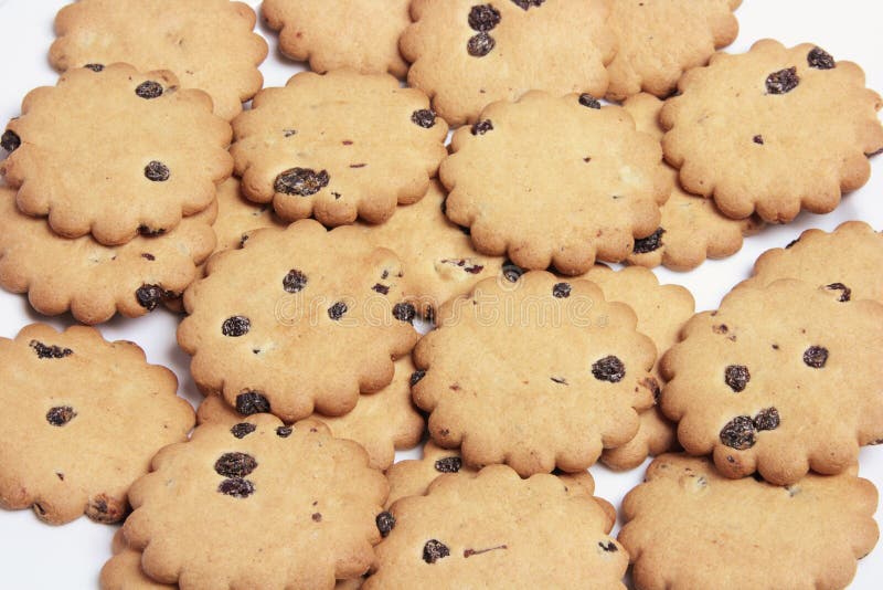 Raisin Biscuits stock photo. Image of snack, break, biscuits 12074210