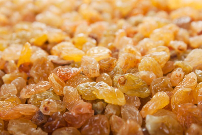 Raisin food stock image. Image of orange, eating, isolated 13513357