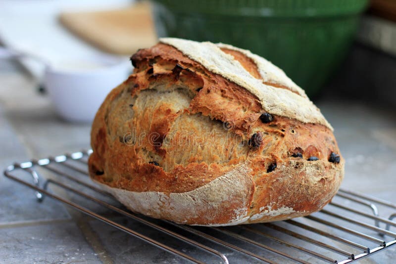 Raisin Rye Artisan Bread stock image. Image of fresh 17300629