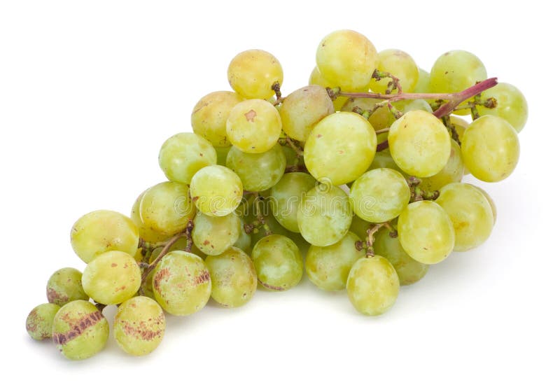 Raisin Vert Image stock Image 20635271