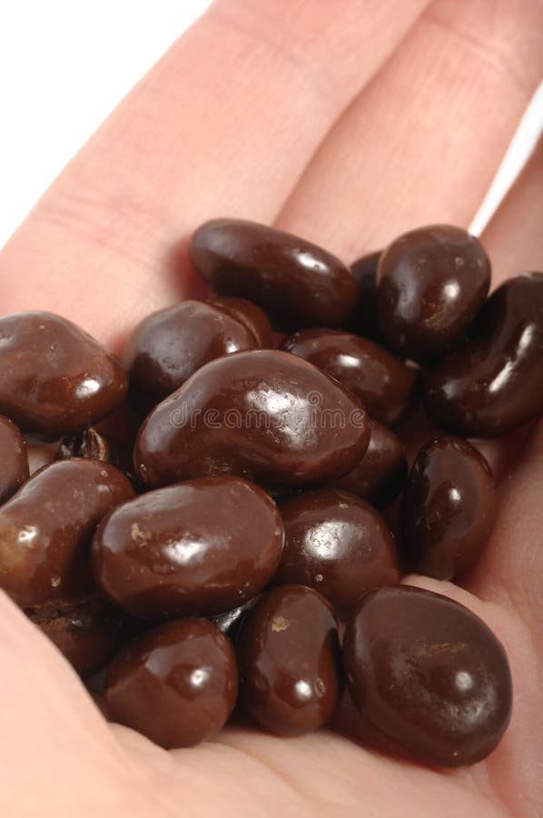 Raisins in Chocolate Cover stock image. Image of chocolate 12508517