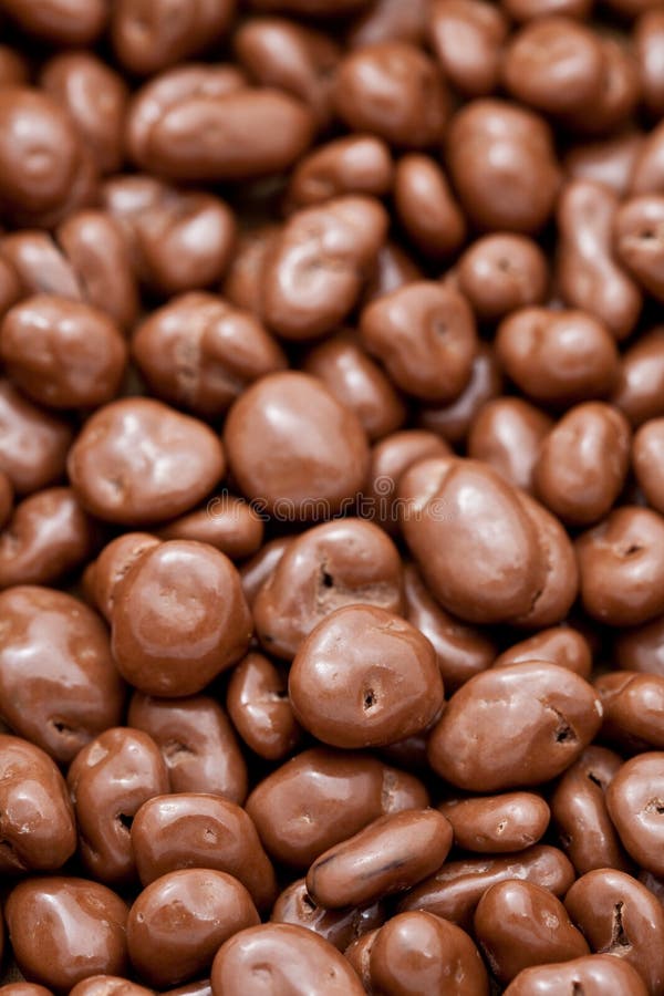 Raisins Covered in Delicious Chocolate Stock Image Image of sweet