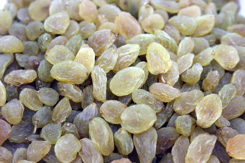 Raisins Grapes Greengrapes Seeds Stock Photo Image of food, cuisine