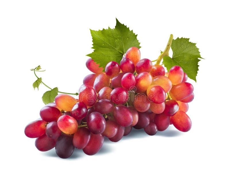 Raisins rouges long groupe et feuilles d'isolement sur le fond blanc photo libre de droits Raisins rouges long groupe et feuilles d'isolement sur le fond blanc photo libre de droits