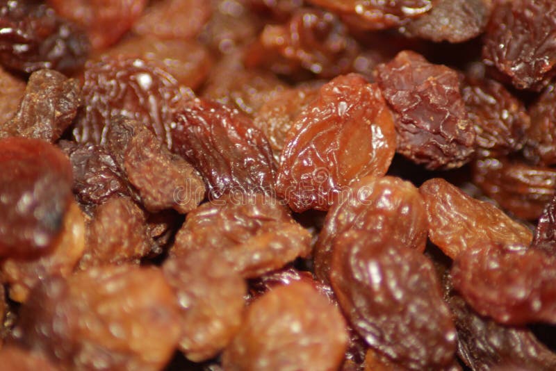 Raisins secs photos libres de droits