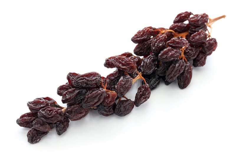 Raisins on the vine stock image. Image of vine, food 44160225