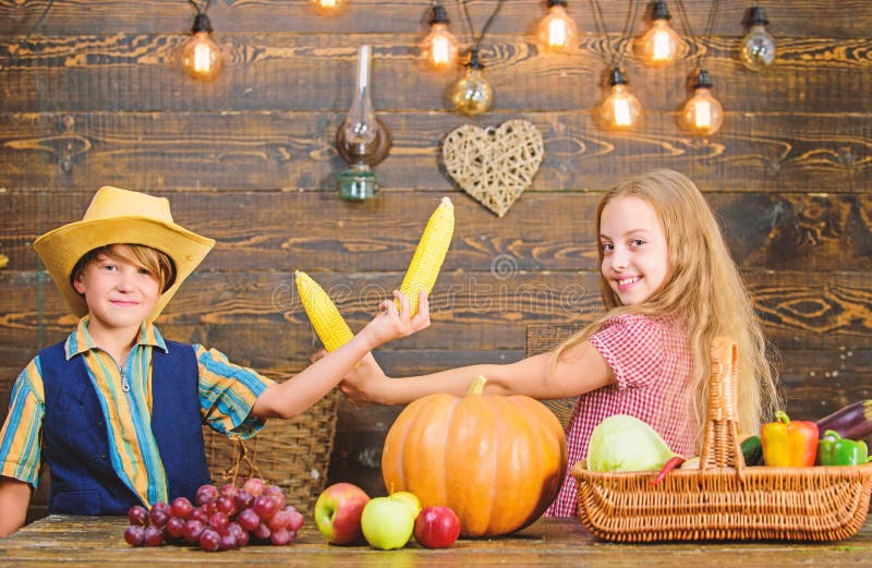 Raisons pour lesquelles chaque enfant devrait ?prouver l'agriculture Jug? responsable des corv?es quotidiennes de ferme Gar?on de image libre de droits Raisons pour lesquelles chaque enfant devrait ?prouver l'agriculture Jug? responsable des corv?es quotidiennes de ferme Gar?on de image libre de droits