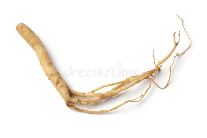 Raiz de ginseng sobre fundo branco fechar imagem de stock