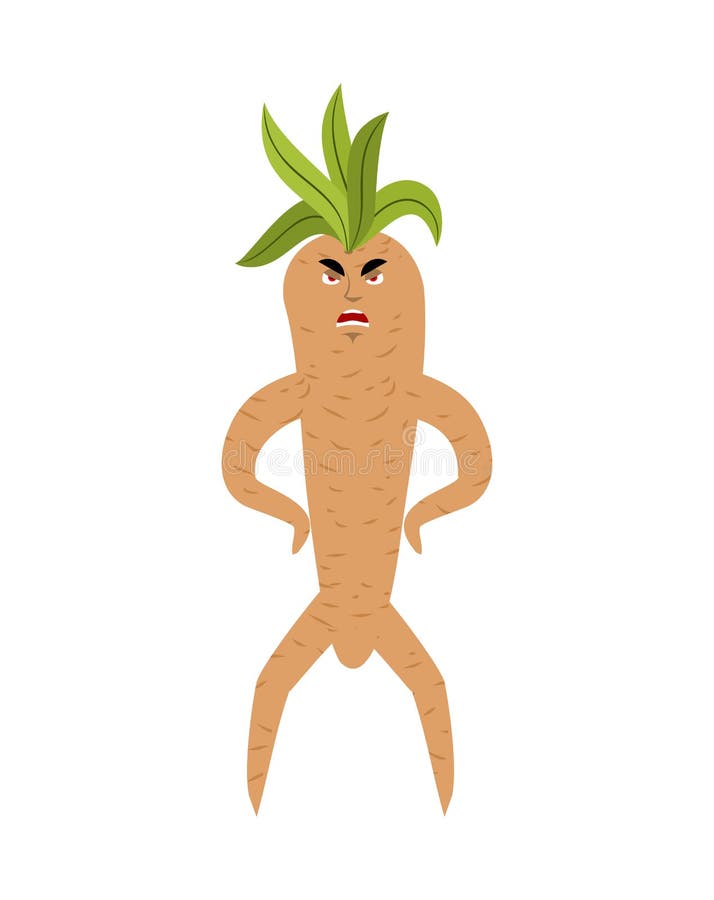 Caractere Vetor Raiz Mandrake Isolado Em Branco Ilustração do