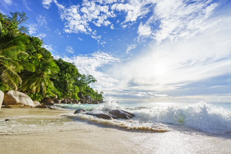 Raj tropikalna plaża z skałami, drzewkami palmowymi i turkusowym wate