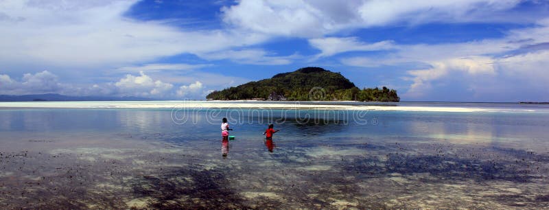 Island scene, Raja Ampat Archipelago, Indonesia