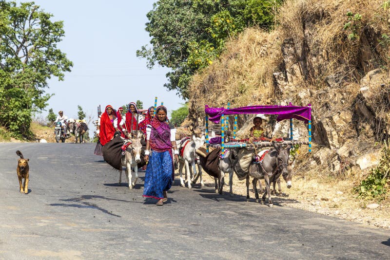 A Rajasthani tribal family moves stock photos