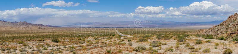 Rak väg nästa Joshua Tree Park för ändlös öken fotografering för bildbyråer Rak väg nästa Joshua Tree Park för ändlös öken fotografering för bildbyråer