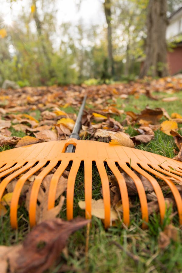 Garden Flowers Rake At Tree Stock Photo - Image of shovel, grow: 25263288