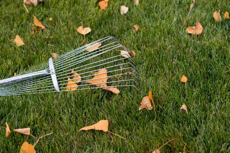 rake for grass clippings rake for grass clippings