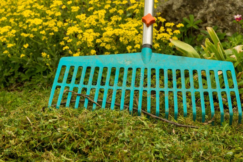 Raking moss on a lawn stock photo. Image of nobody, park 33495270