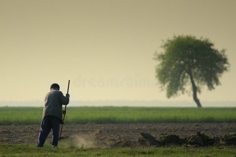 Raking farmer