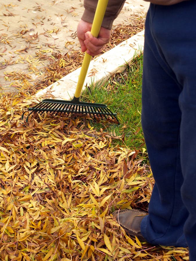 Man raking concrete stock photo. Image of work, pour, occupation - 6847200