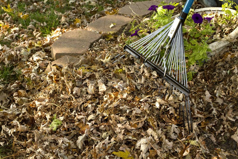 Leaves in Gutter, Home Maintenance and Repair Stock Image - Image of ...