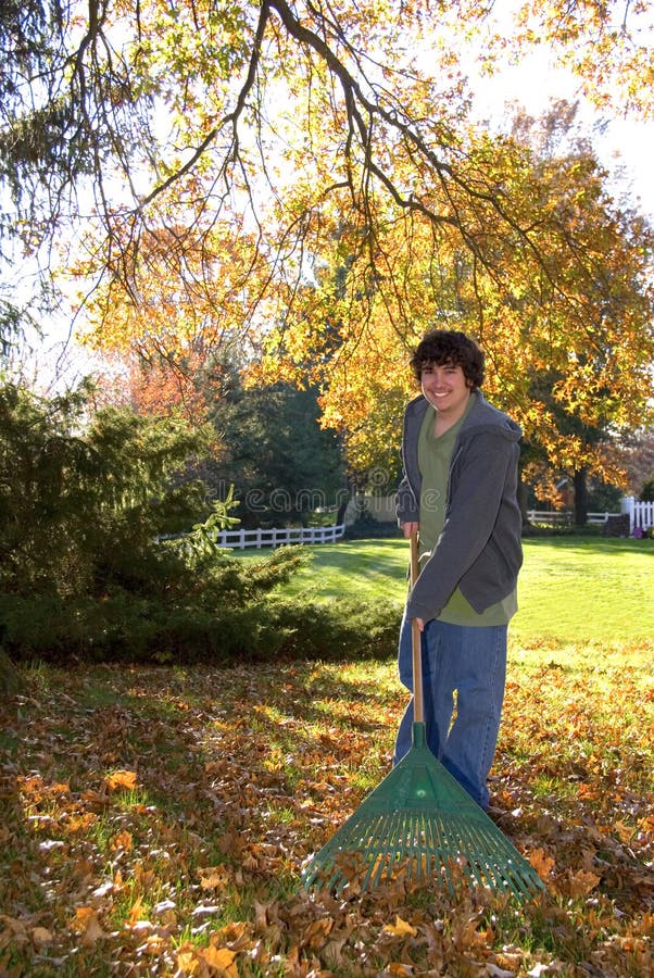 Raking Leaves Teen Boy with Rake Stock Image Image of smiling