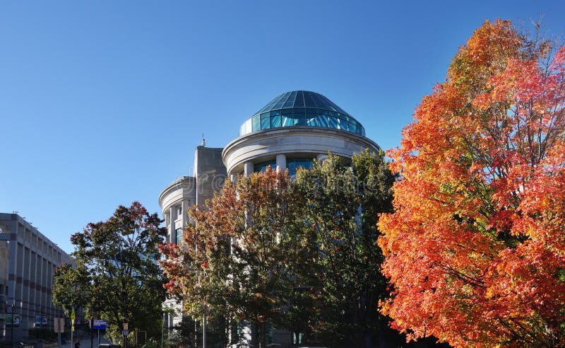 RALEIGH, NC/USA - 11-3-2018: Северный музей Calolina естественного стоковые изображения RALEIGH, NC/USA - 11-3-2018: Северный музей Calolina естественного стоковые изображения