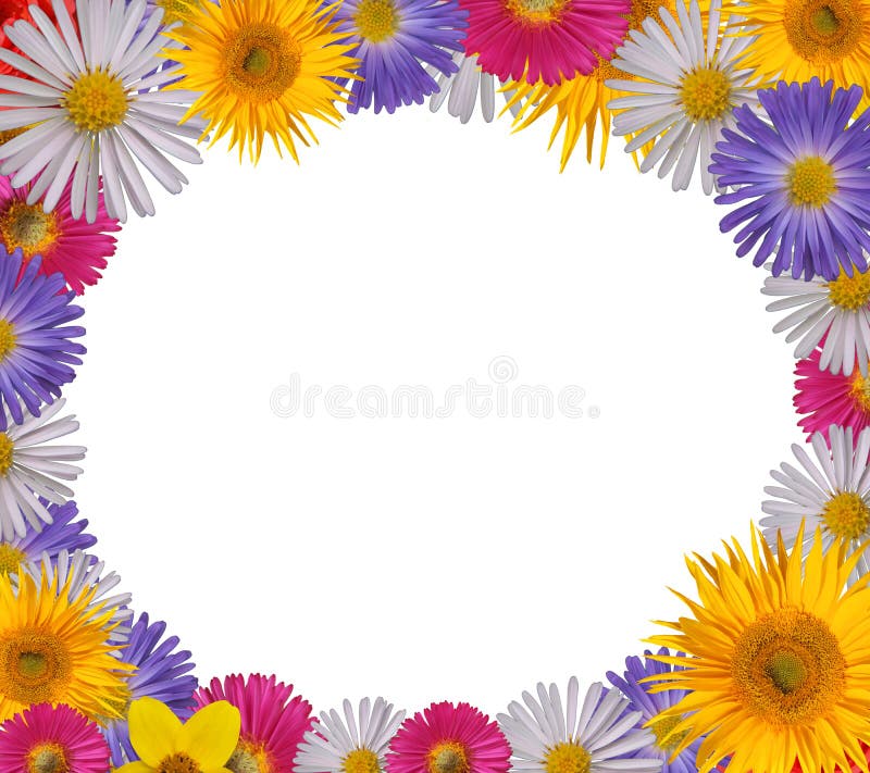 Blom inramniner isolerad gjord white