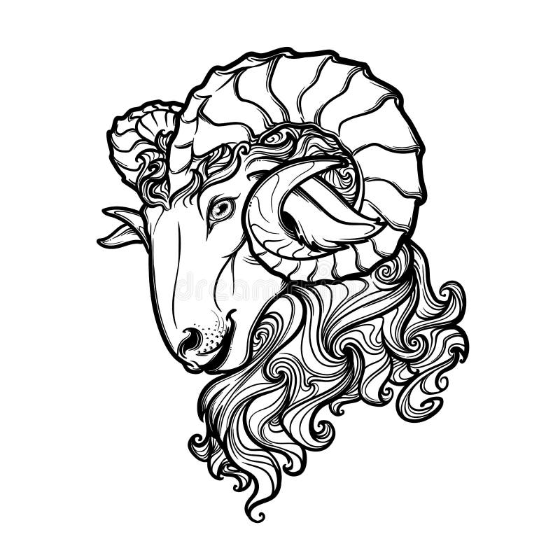 Side view of a ram head with big twisted horns. 
