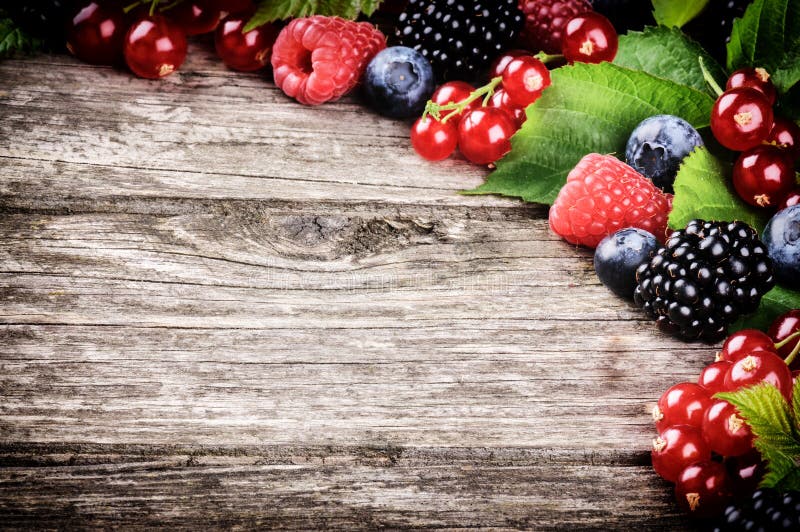 Ram med färska sommarbär royaltyfri foto
