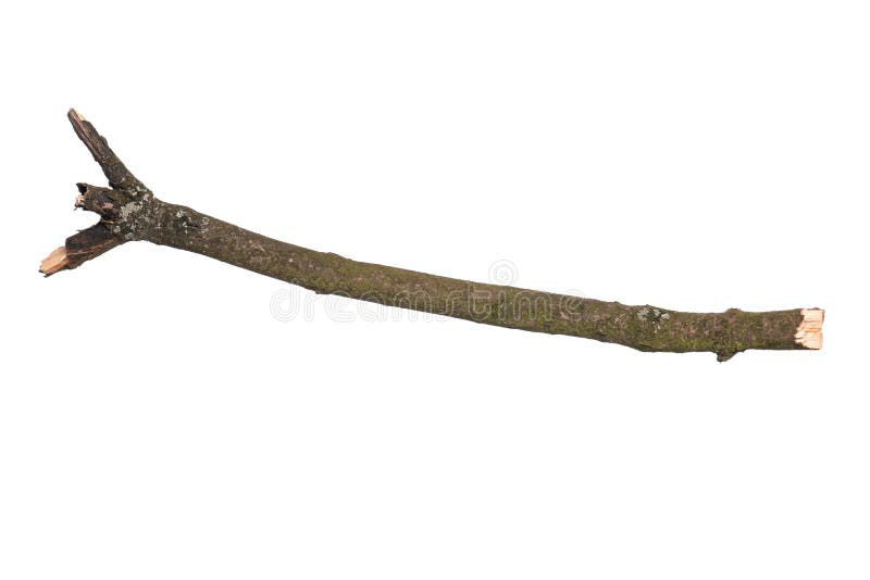 Círculo de rodamiento Buque de guerra deletrear Rama De árbol Seca En Blanco Foto de archivo - Imagen de descubierto, parque: 150415568 Círculo de rodamiento Buque de guerra deletrear Rama De árbol Seca En Blanco Foto de archivo - Imagen de descubierto, parque: 150415568
