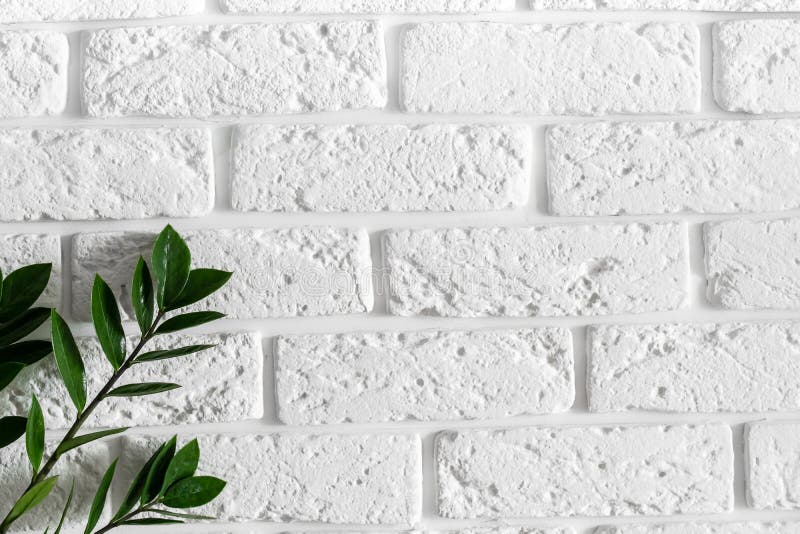 Rama de la planta verde en fondo casero moderno del diseño interior de la pared de ladrillo blanca fotografía de archivo