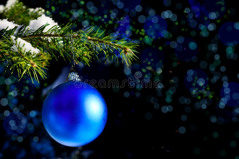 Rama de árbol de Forest Christmas con el ornamento azul imagen de archivo Rama de árbol de Forest Christmas con el ornamento azul imagen de archivo