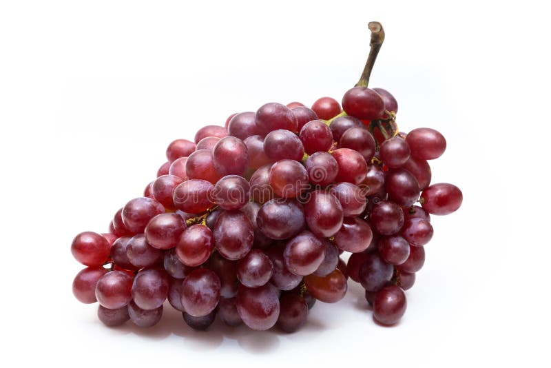 Rama fresca y sana de las uvas sin la hoja fotografía de archivo libre de regalías Rama fresca y sana de las uvas sin la hoja fotografía de archivo libre de regalías
