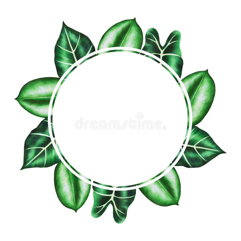 Rama i logo z realistycznymi lifami tropikalnymi. ilustracja monstera caladium alocasia ficus leafs ilustracja wektor