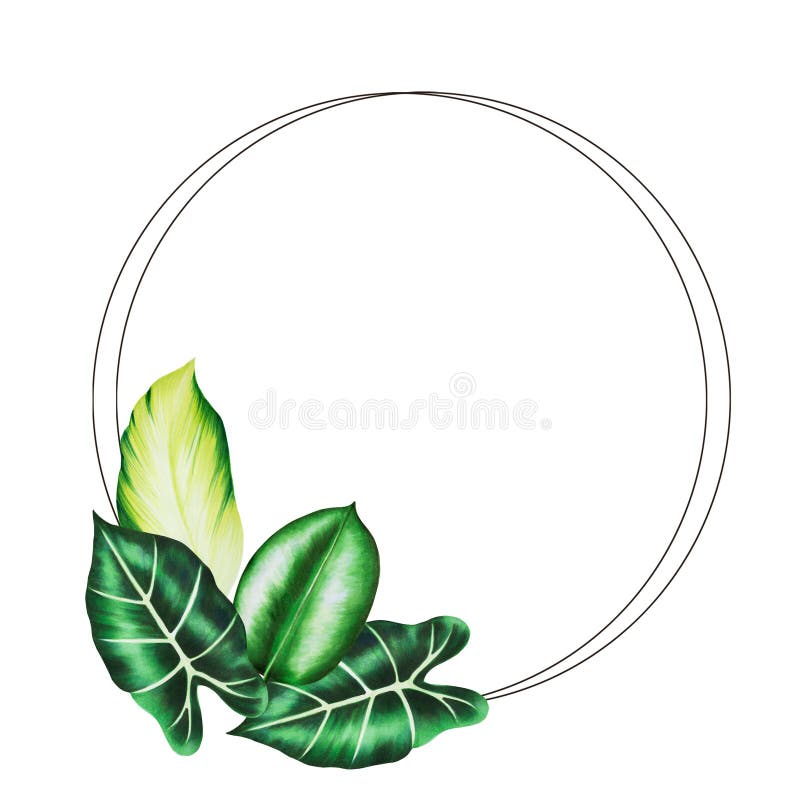 Rama i logo z realistycznymi lifami tropikalnymi. ilustracja monstera caladium alocasia ficus leafs ilustracja wektor