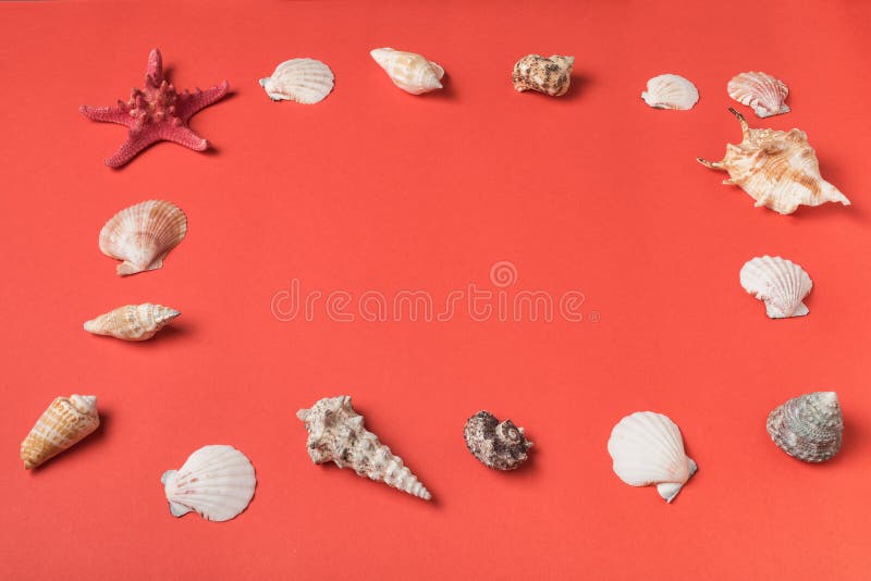 Rama od rozmaitości seashells na tle żywy koral Mieszkanie nieatutowy Morski poj?cie obraz royalty free Rama od rozmaitości seashells na tle żywy koral Mieszkanie nieatutowy Morski poj?cie obraz royalty free