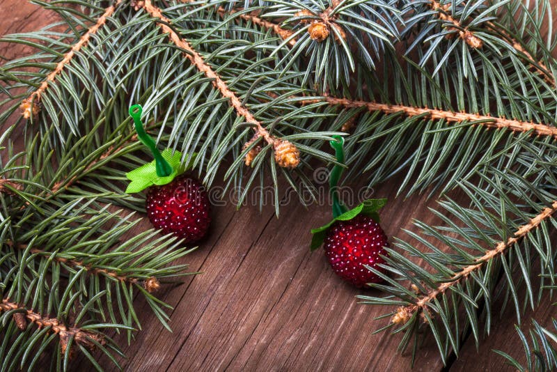 Rama y bayas de árbol de navidad en una tabla o un tablero de madera para fotos de archivo libres de regalías Rama y bayas de árbol de navidad en una tabla o un tablero de madera para fotos de archivo libres de regalías