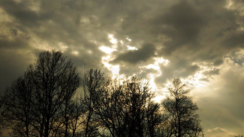 Ramais de árvore sem folhas nítidas contra o céu nublado cinzento com alguma luz solar a atravessar as nuvens Tempestade chegando foto de stock Ramais de árvore sem folhas nítidas contra o céu nublado cinzento com alguma luz solar a atravessar as nuvens Tempestade chegando foto de stock