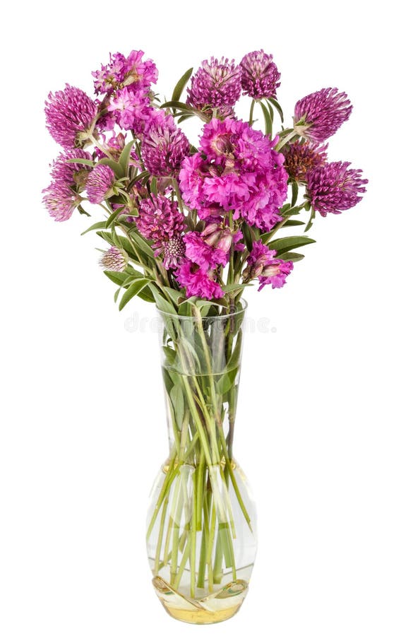 Ramalhete bonito das flores selvagens Wildflowers no vaso imagens de stock royalty free Ramalhete bonito das flores selvagens Wildflowers no vaso imagens de stock royalty free
