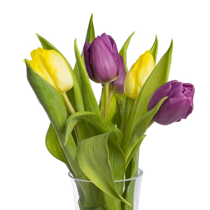 Download Ramalhete Bonito Das Tulipas No Vaso No Fundo Branco Imagem de Stock - Imagem de fresco, fundo: 107525917