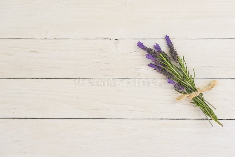 Ramalhete da alfazema foto de stock Ramalhete da alfazema foto de stock