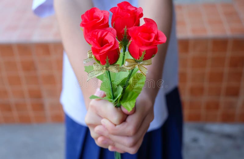 Ramalhete da terra arrendada da mão de rosas vermelhas imagens de stock royalty free Ramalhete da terra arrendada da mão de rosas vermelhas imagens de stock royalty free