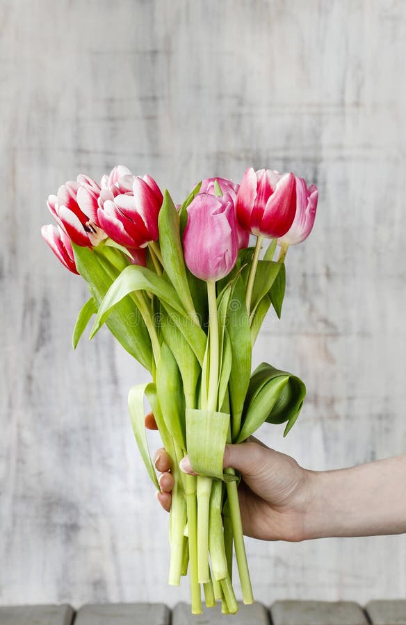 Ramalhete das tulipas na mão bonita fotografia de stock Ramalhete das tulipas na mão bonita fotografia de stock