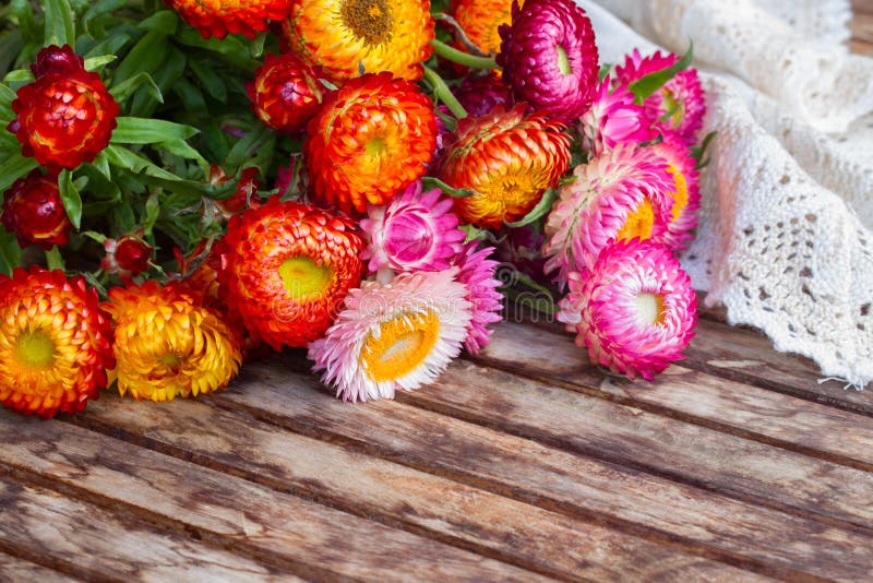 Ramalhete de flores eternas na tabela fotos de stock Ramalhete de flores eternas na tabela fotos de stock
