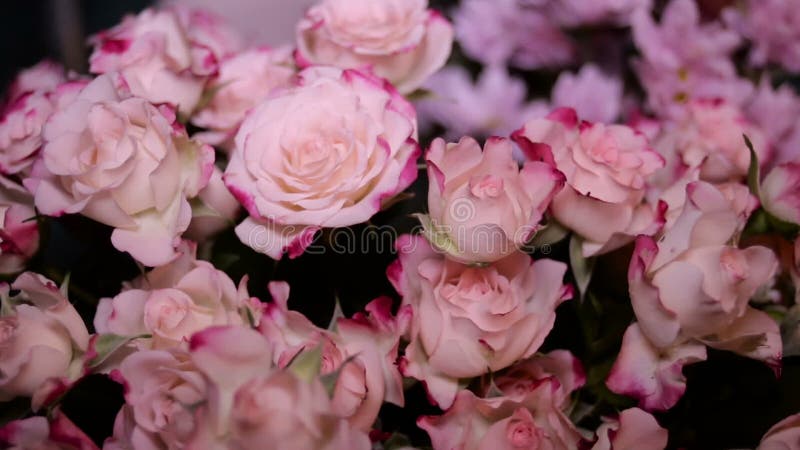 Ramalhete de rosas cor-de-rosa