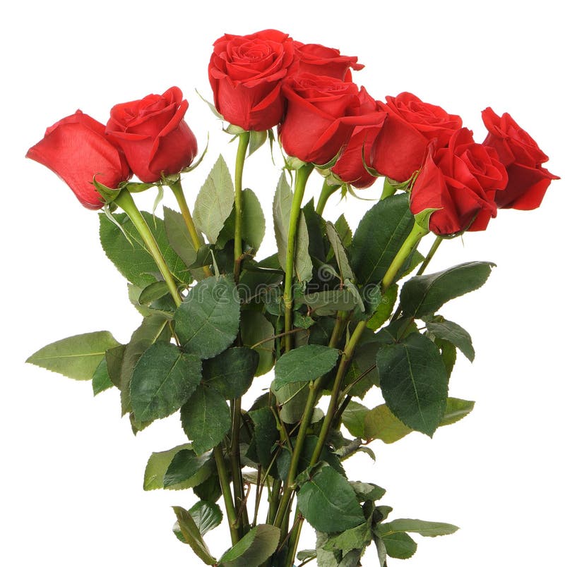 Ramalhete de rosas vermelhas imagem de stock Ramalhete de rosas vermelhas imagem de stock